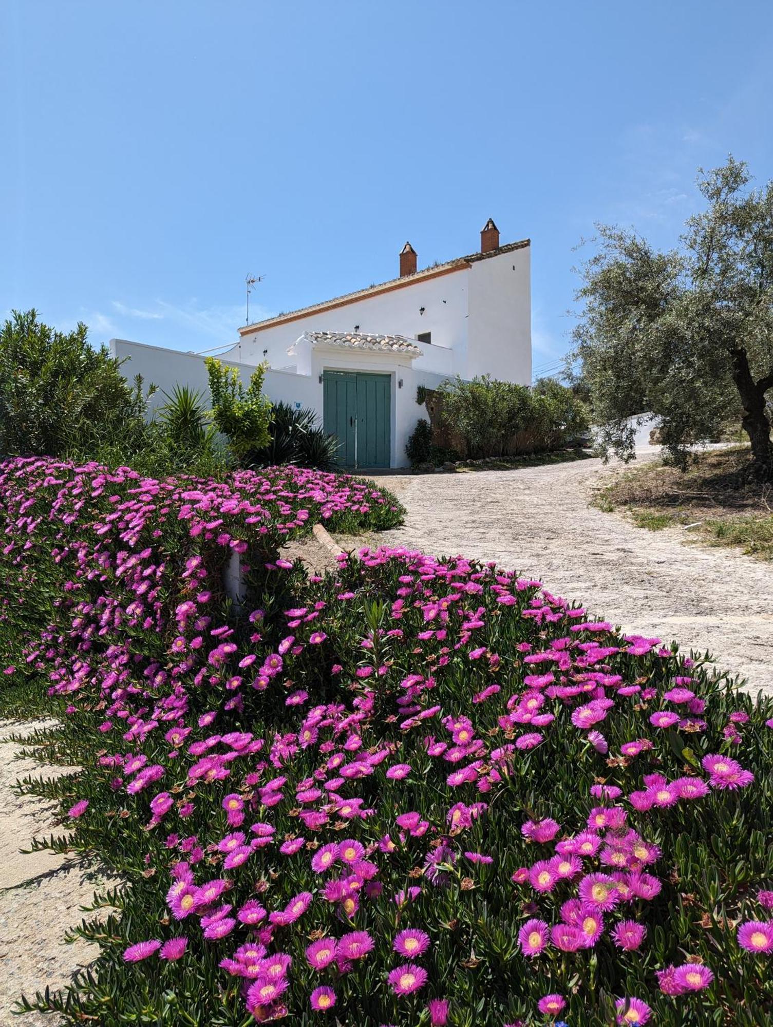 Casa Las Majadillas 伊斯纳哈尔 外观 照片